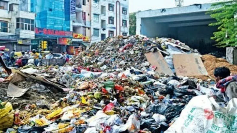 Fresh MSW Processing